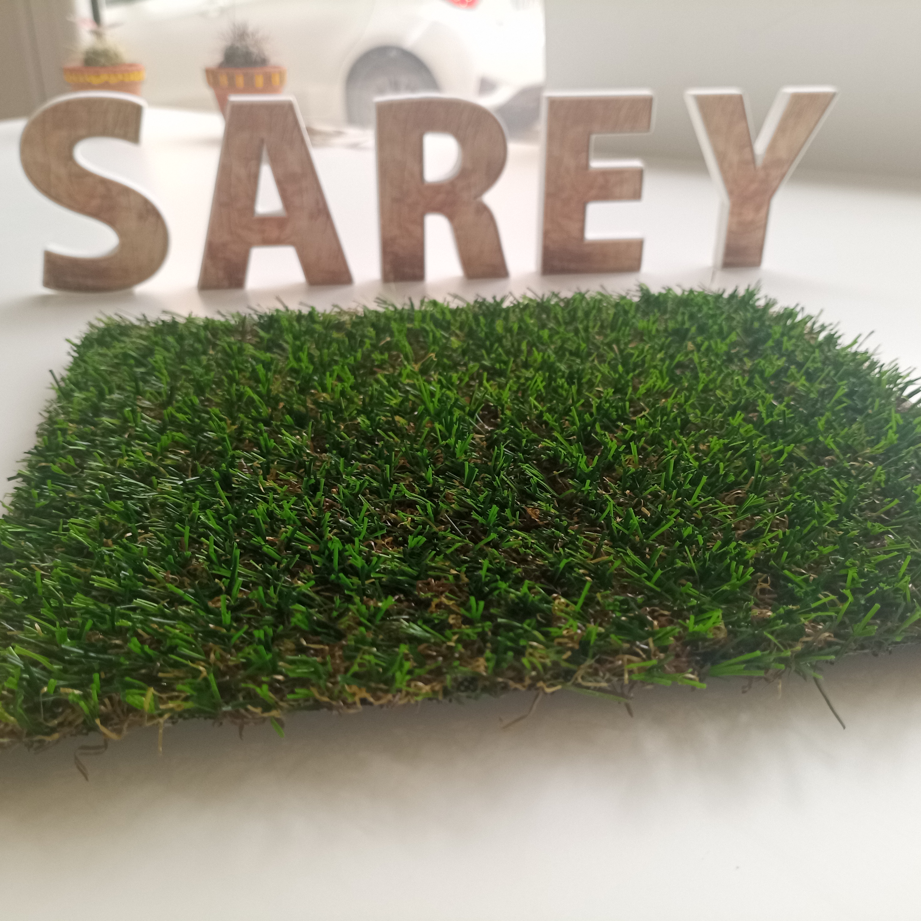 Sarey Multiservicios paris