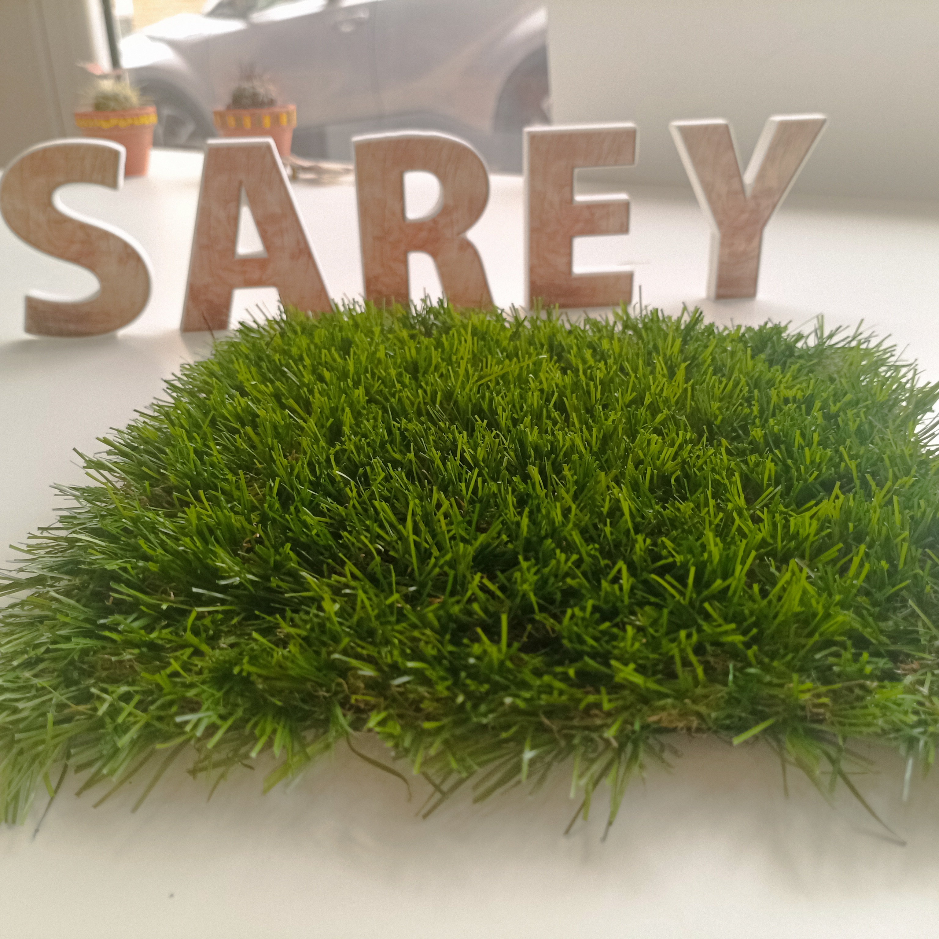 Sarey Multiservicios bangkok