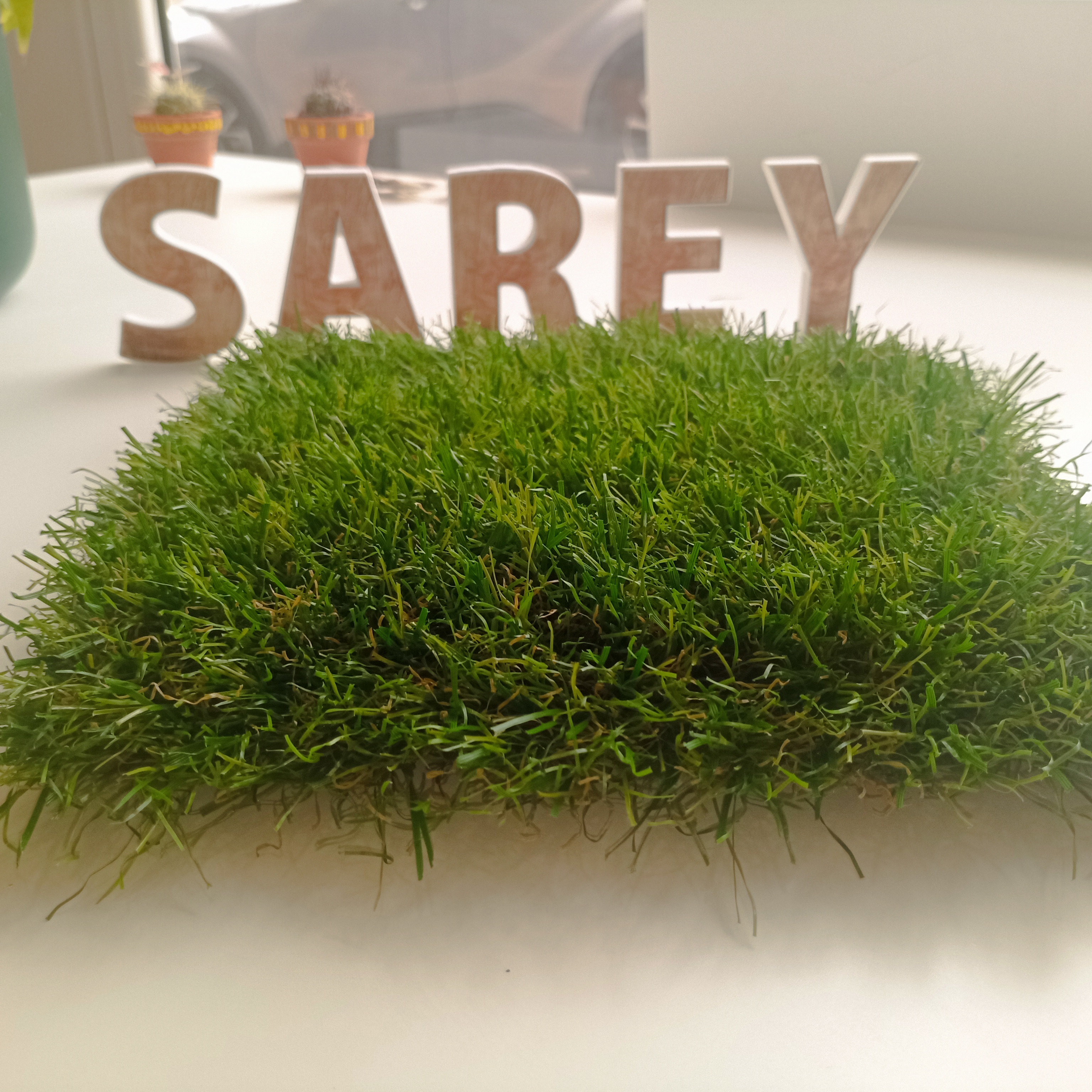 Sarey Multiservicios bangkok