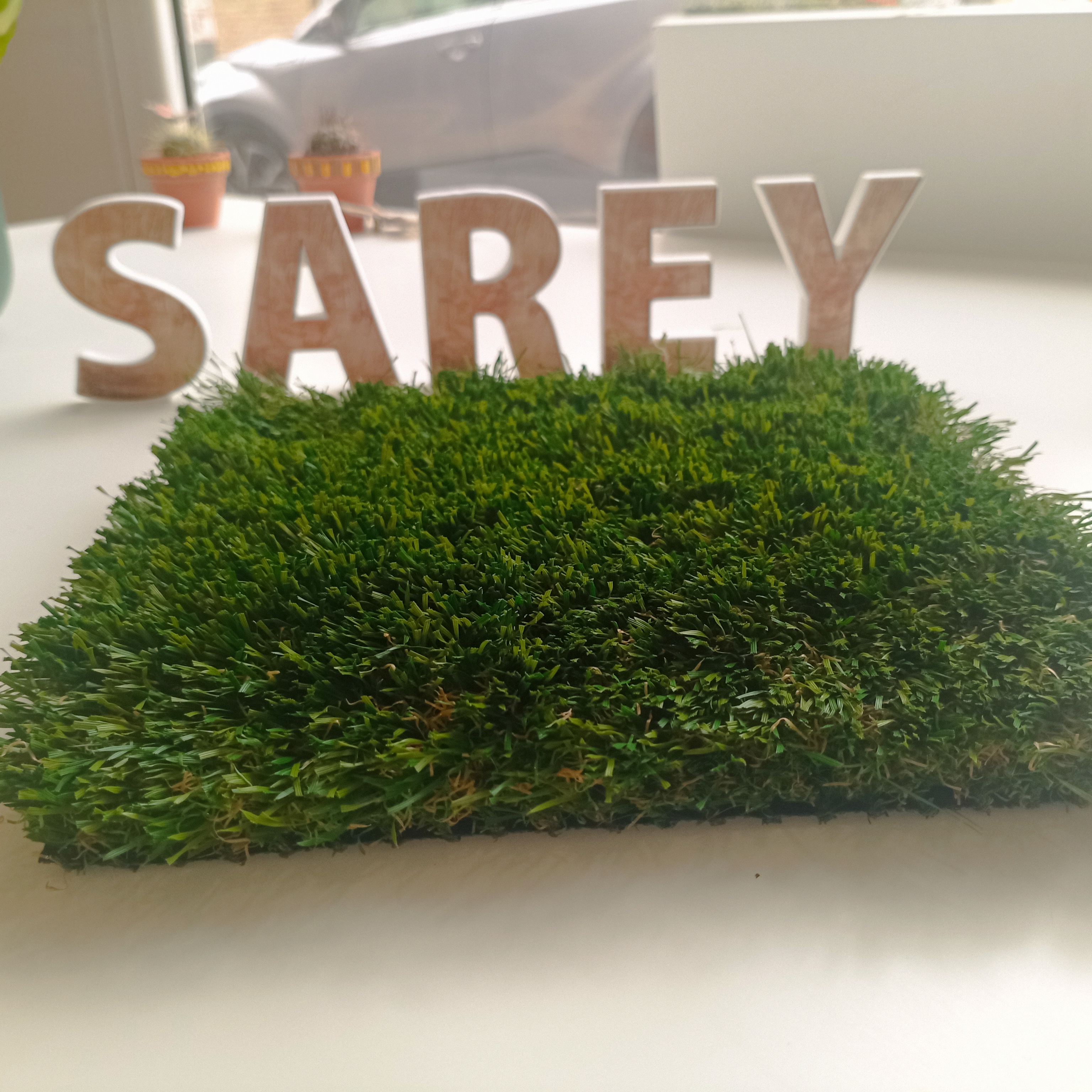 Sarey Multiservicios bangkok