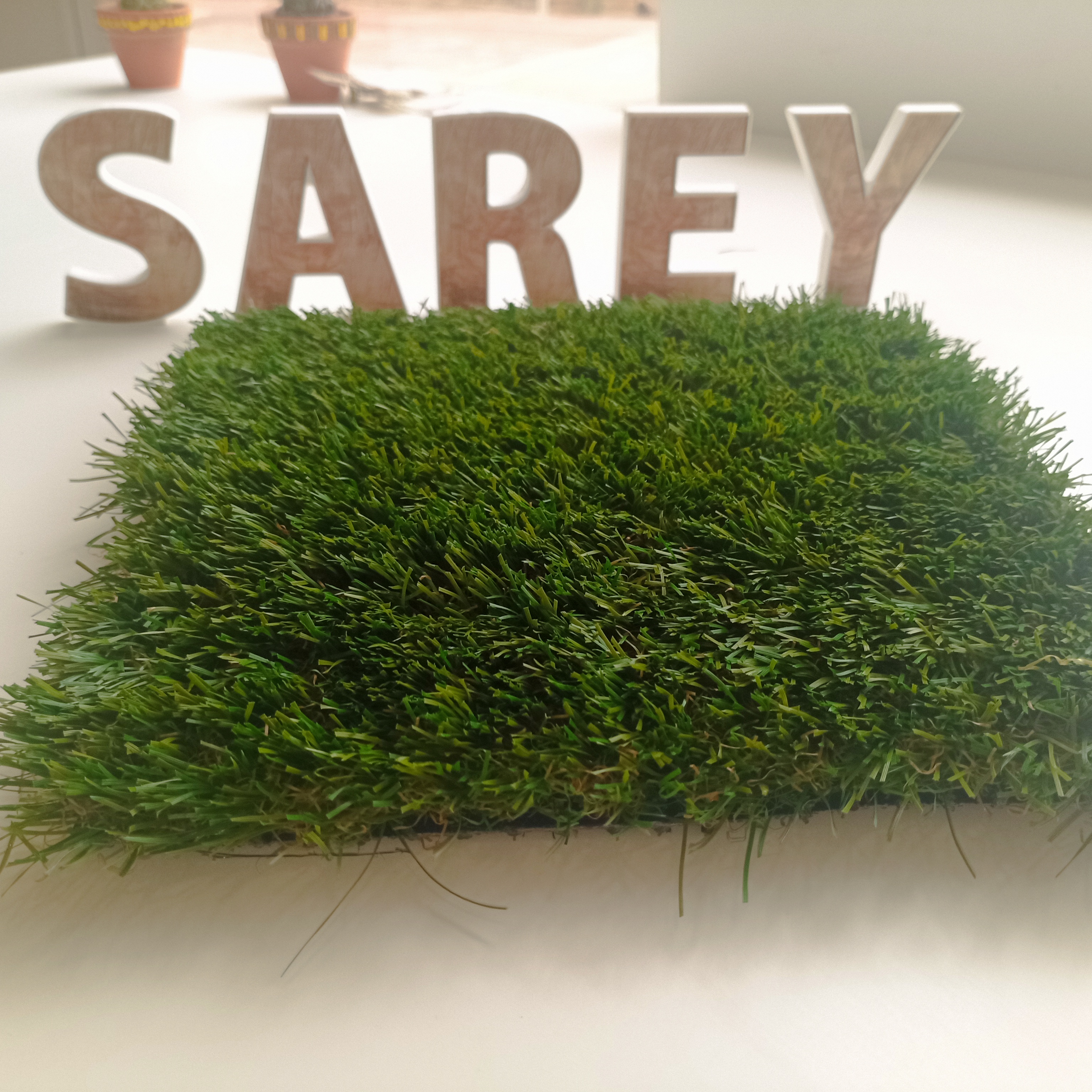 Sarey Multiservicios bangkok