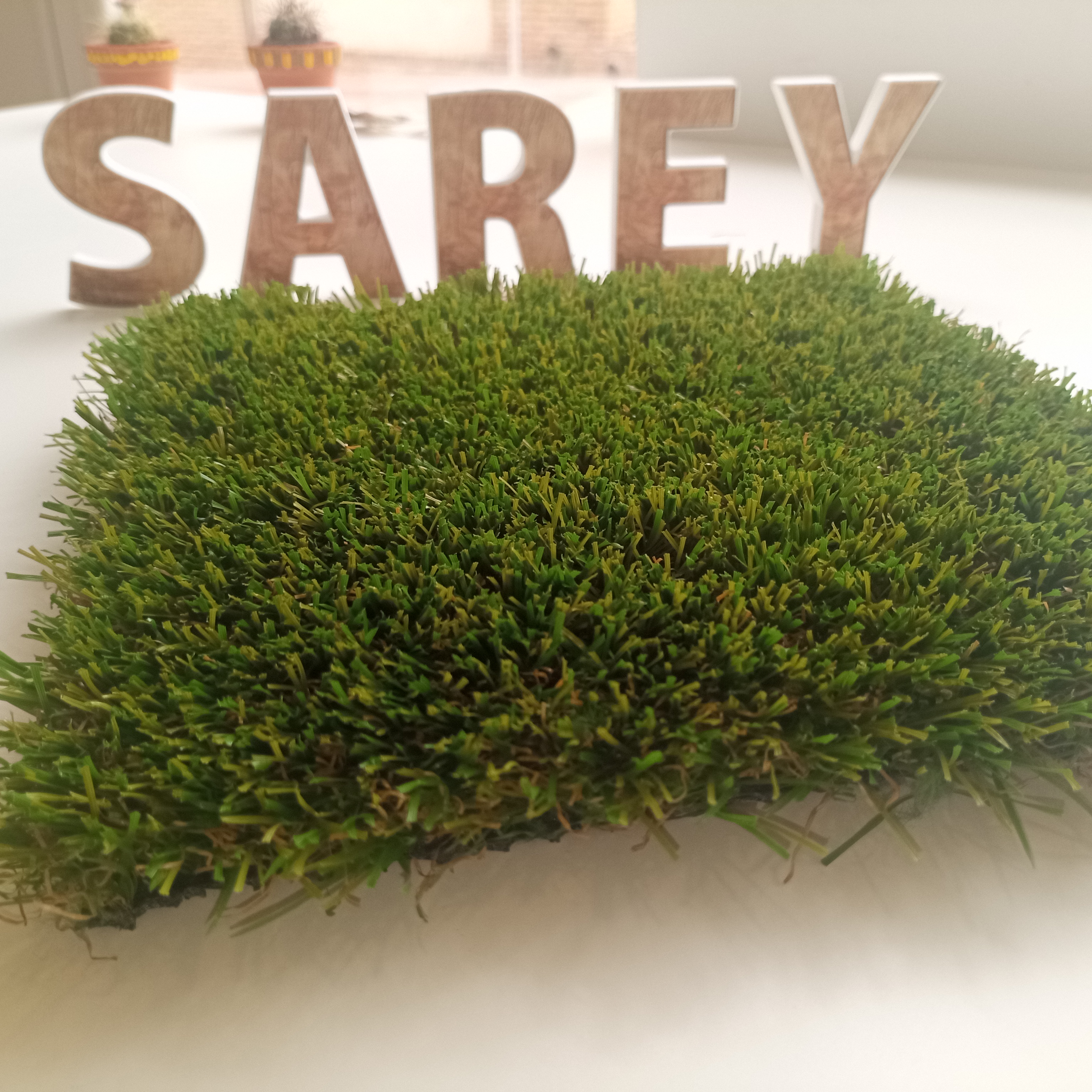 Sarey Multiservicios bangkok