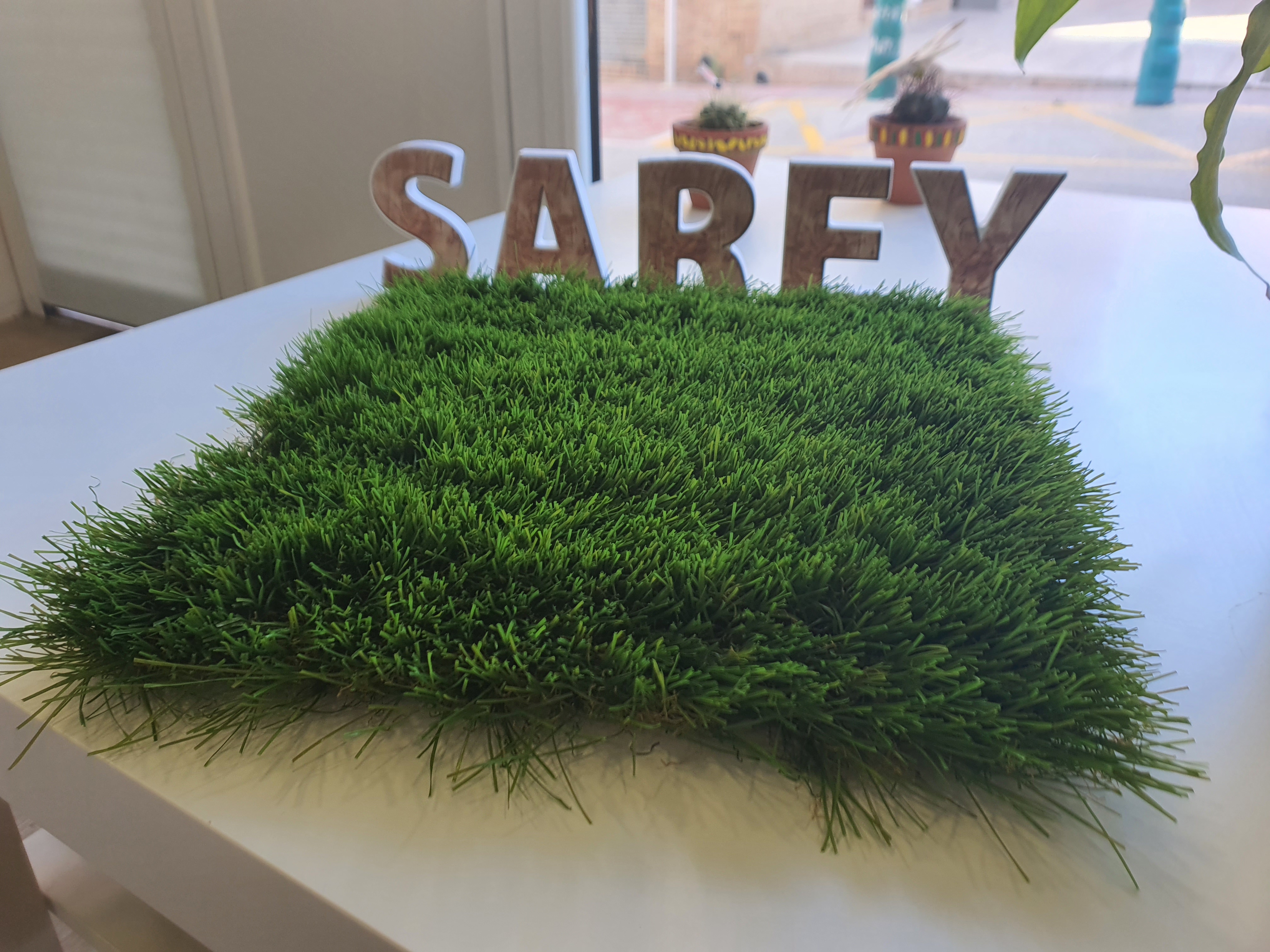 Sarey Multiservicios paris30