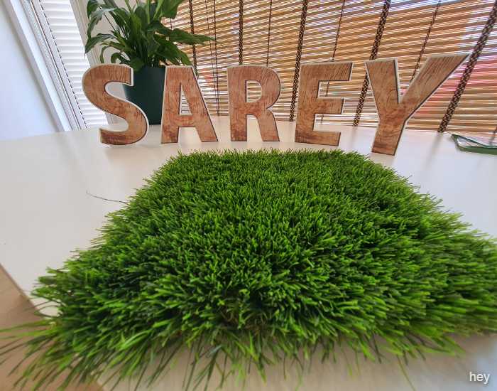 Sarey Multiservicios bangkok