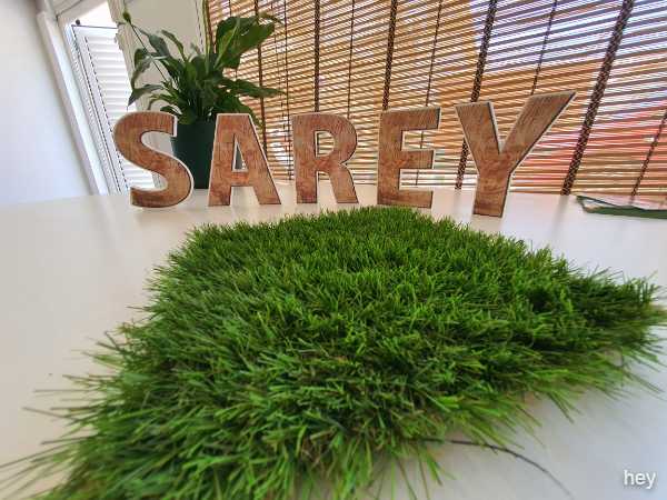 Sarey Multiservicios paris30